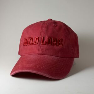 Washed Cap Red scaled 1.jpg